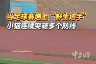 阿尔梅里亚做客挑战，希望突破对手防线 